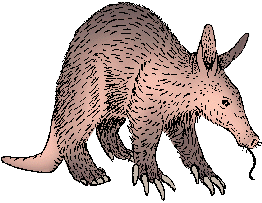 Aardvark - the first word in Webster’s Dictionary